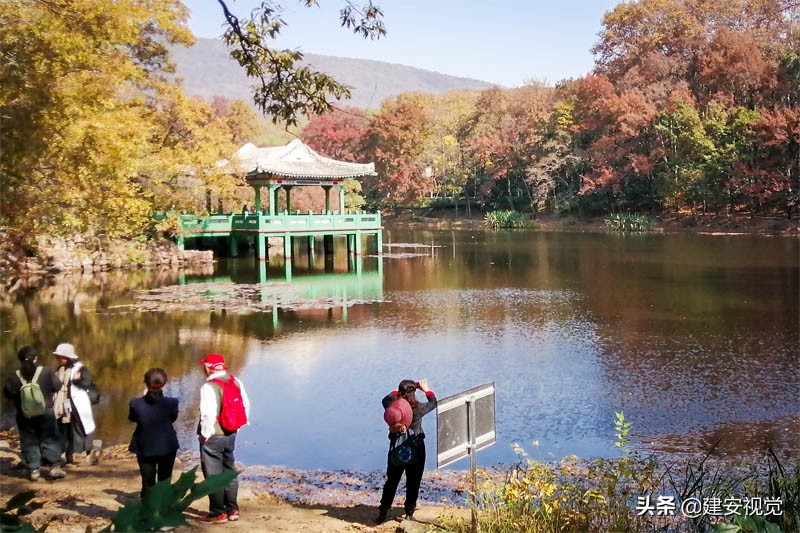 龙蟠虎绕风水宝地,龙蟠紫金山