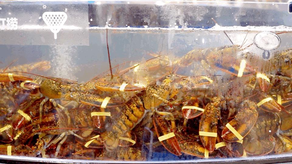 盒马鲜生攻略肉类,盒马鲜生哪些东西值得买