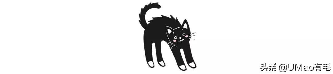 脚毛太长要刮掉吗,脚毛太长了能不能刮