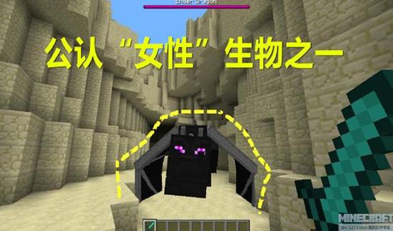 我的世界第3个生物是什么,我的世界收集所有生物末影龙