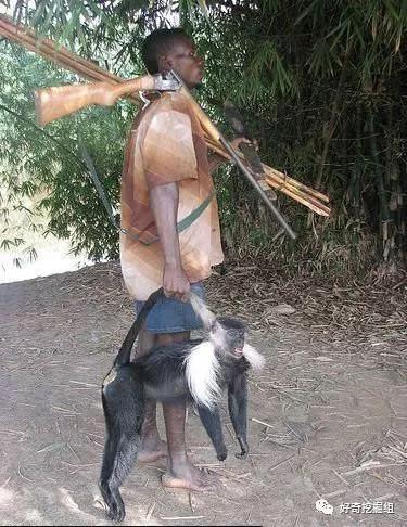 恐怖蝙蝠纪录片,蝙蝠有多可怕小说