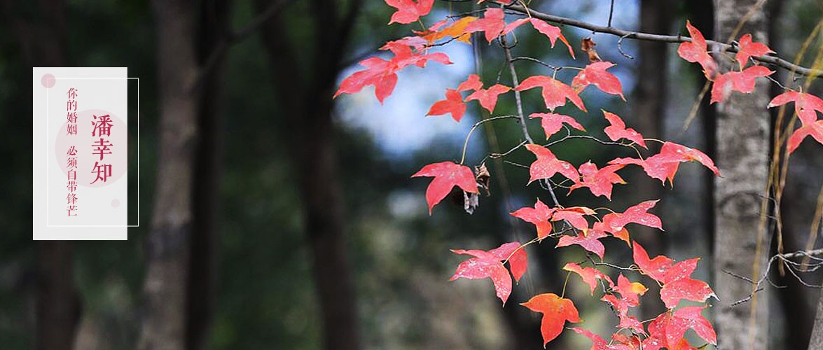 女人自述出轨被发现老公默默离开,女子自述出轨三年给情人花70万