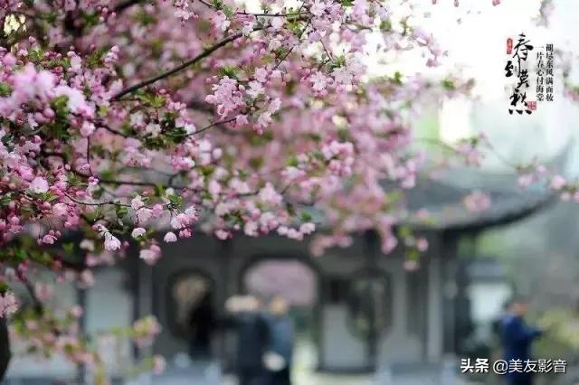 古诗词中的春天珍藏版,古诗词里的春天合集