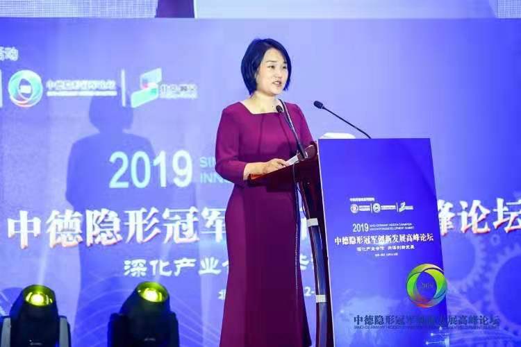 中德连线隐形冠军活动,2018年中德智能制造高峰论坛