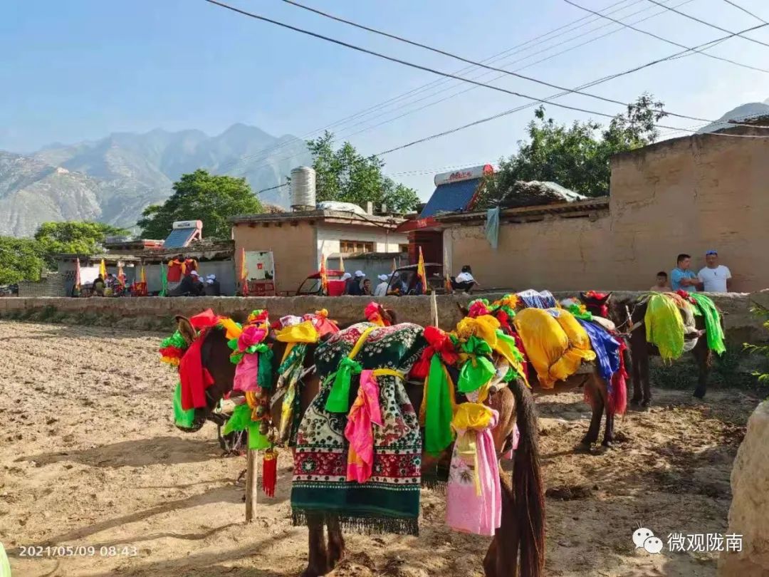 两水起“新城”,庙会值“千金”!探索乡村振兴观地方文化魅力