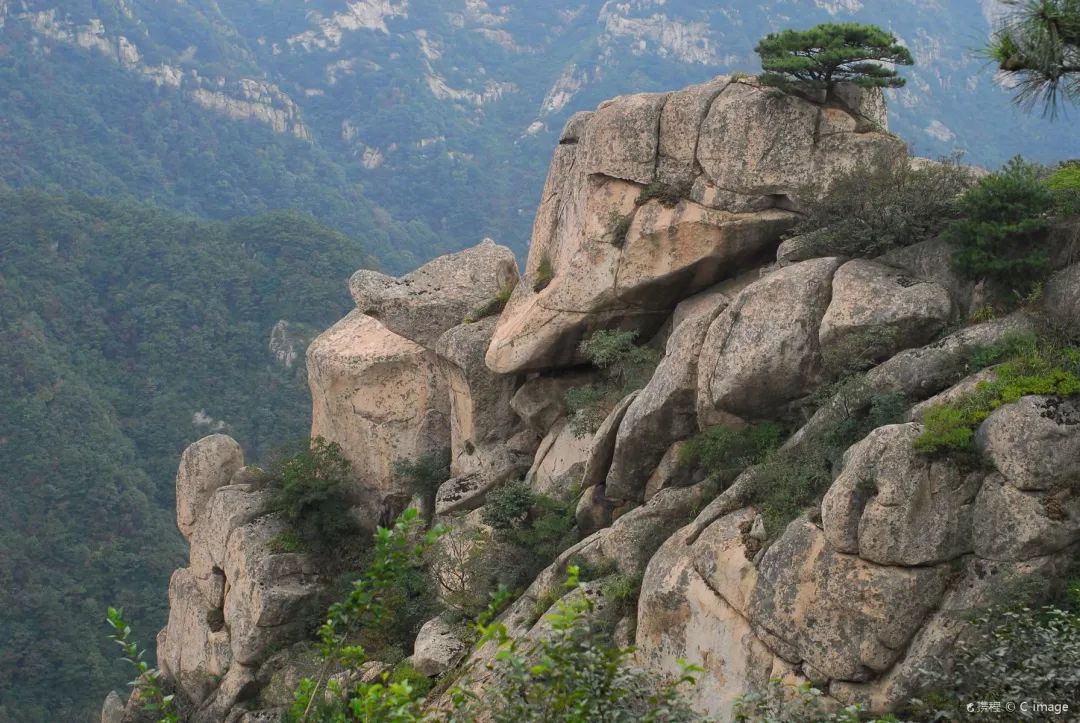 游玩半价票,0元门票玩上海