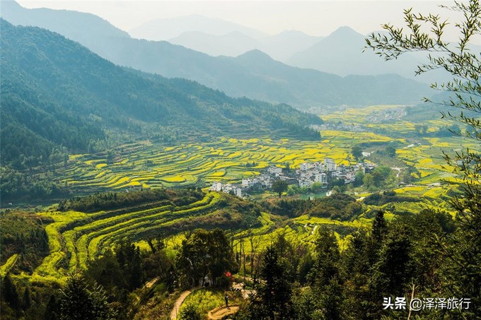 中国最美油菜花海汉中,中国最美油菜花海排名