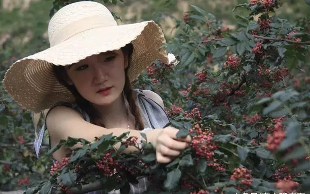 农村少奶奶为什么越来越多了,为啥现在农村少奶奶特别多