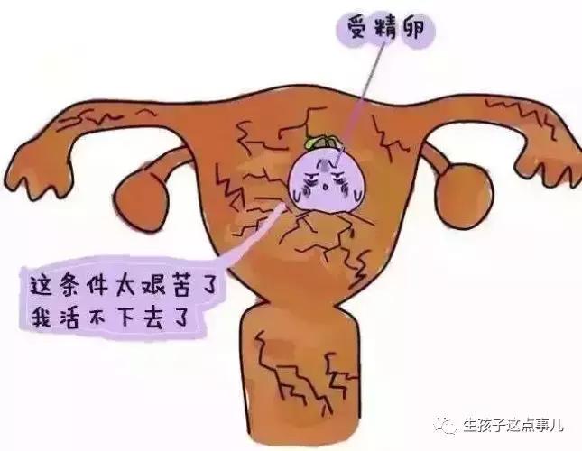 hcg和孕酮怎么鉴别,是不是只要hcg和孕酮正常就安全了