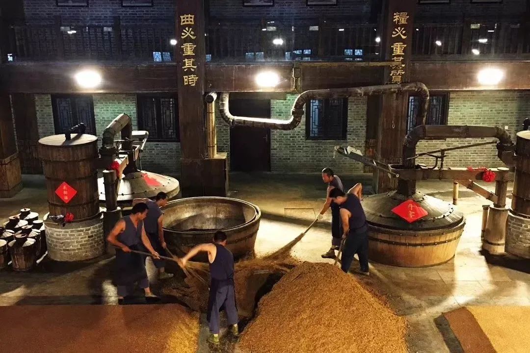 洋河大曲值得收藏的是哪款酒,洋河大曲最值得收藏的酒