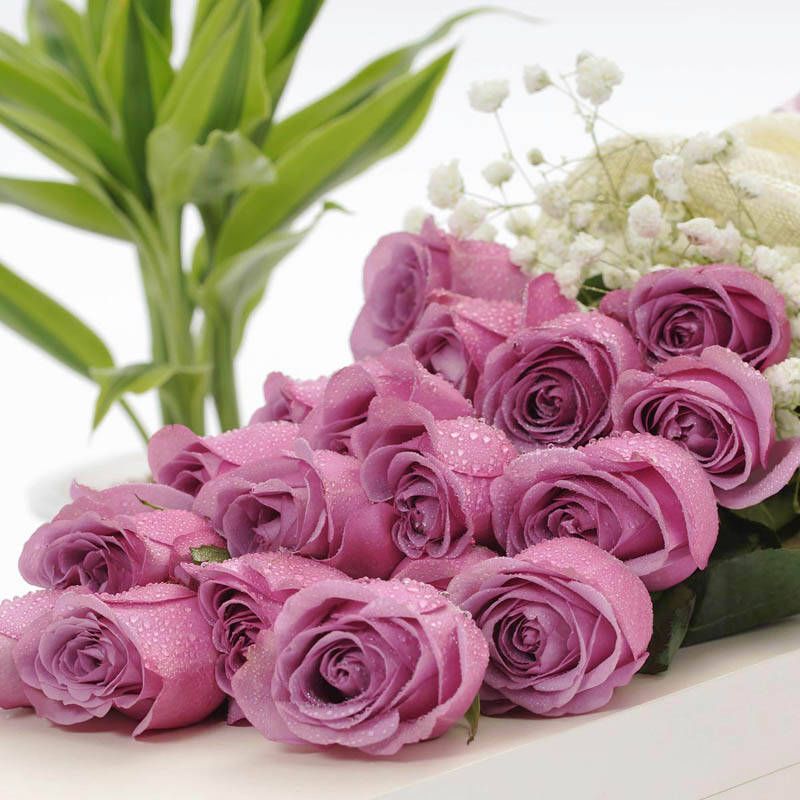 收到花有点蔫怎么处理,收到花有点干瘪醒花方法