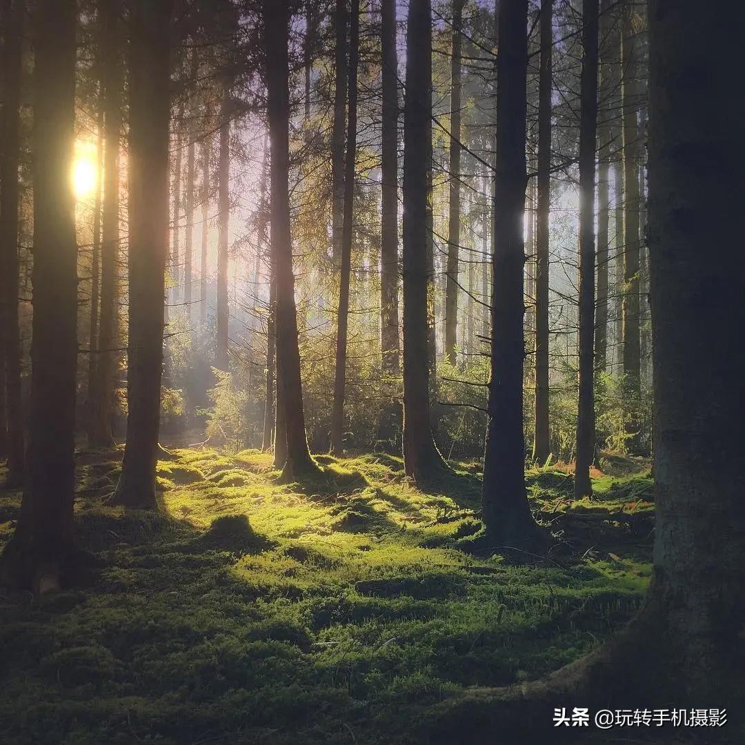 iphone手机的小隐藏小功能,iphone最实用系统