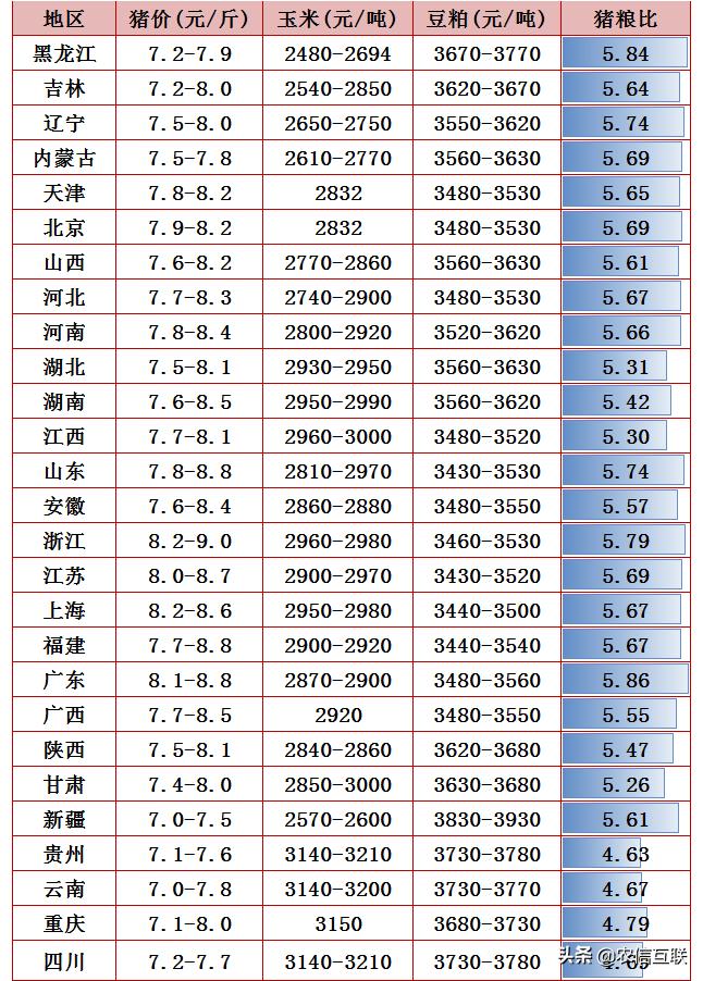 大肥卖不掉咋办,大猪降价仔猪怎么不降