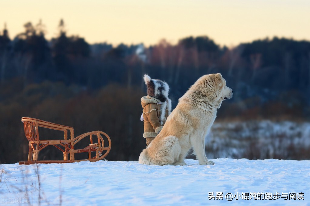 烧马棚威廉福克纳,福克纳烧马棚英语原文