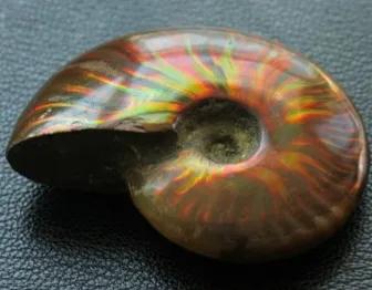 海南地势起伏大吗,海南大平原