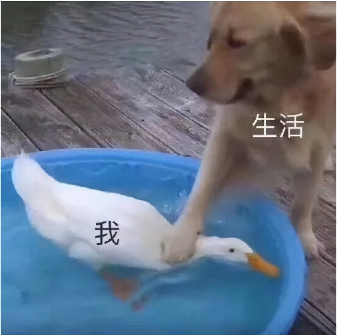 电气自动化学历有用吗,电气自动化学历重要吗