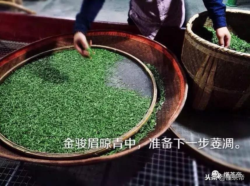 金骏眉银骏眉铜骏眉,金骏眉大赤甘和小赤甘的区别