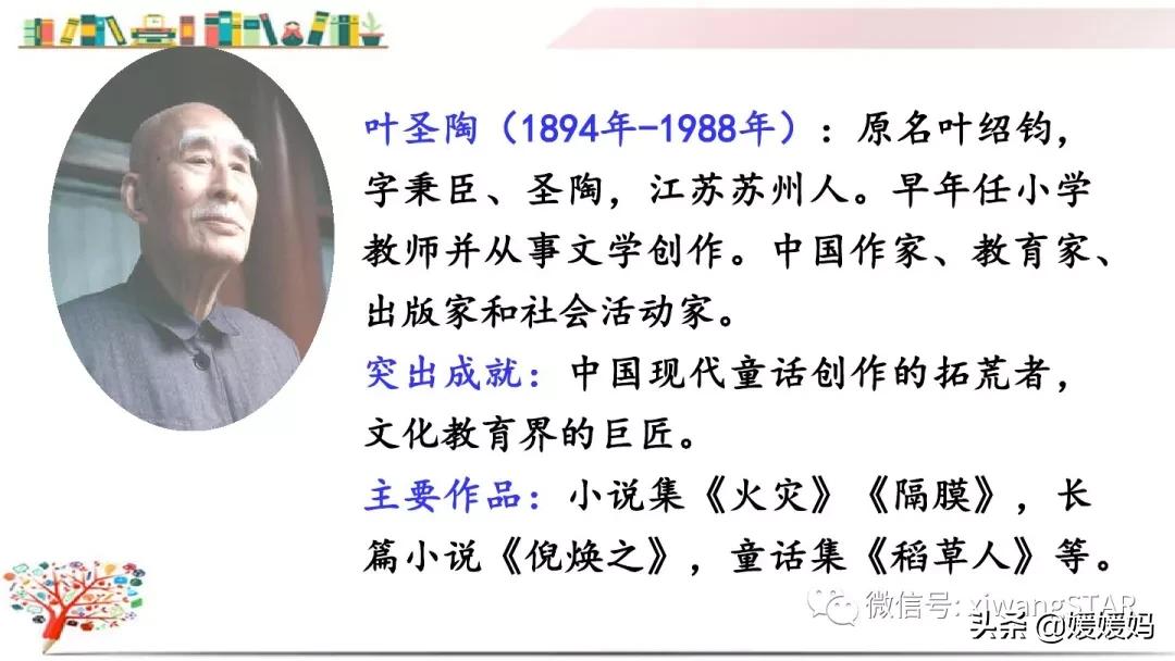 三年级下册荷花ppt课件部编版,三年级下册语文第三课荷花小练笔