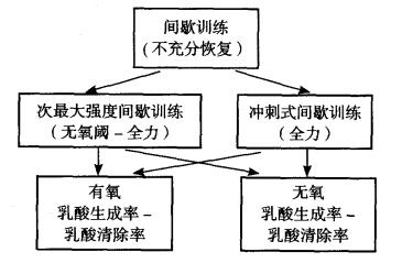 高强度间歇训练法和有氧运动结合,羽毛球间歇暂停