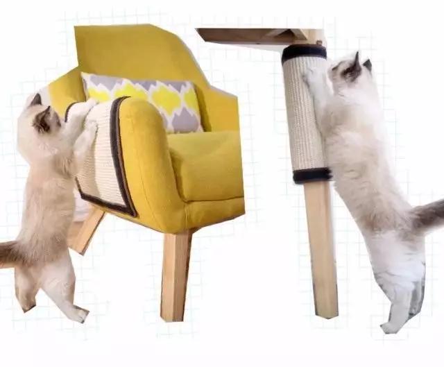 最实用猫抓板,如何挑选猫抓板