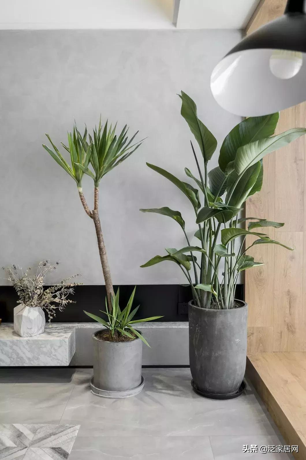 水泥网红砖效果图,水泥砖网红墙面效果图