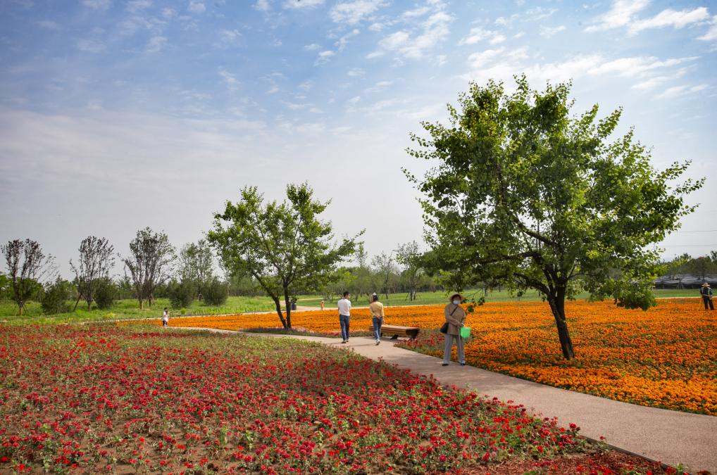 西安公园24小时开放,西安未央湖公园免费开放时间