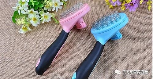 治疗毛球症最快的方法,怎么预防和治疗毛球症