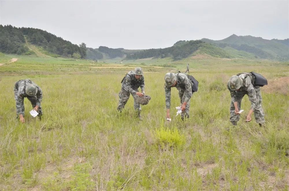 轻轻的你来了散文,轻轻的你来了语录