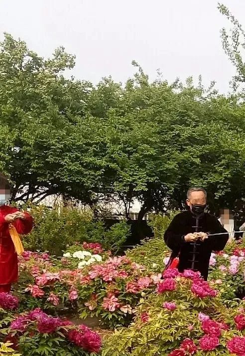 泰达广场花海,泰达花海美景图片