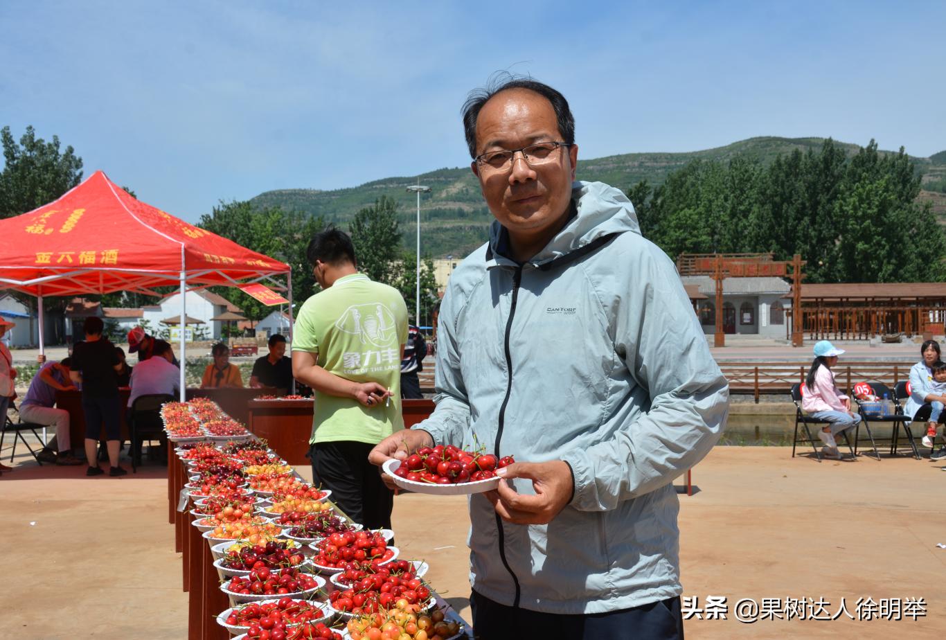 园艺技术出来能做什么,园艺技术需要学习插花吗