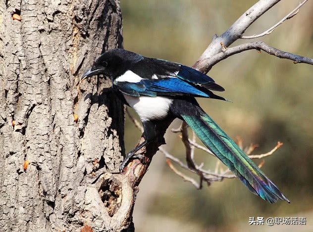 心理测试你的勾魂指数,心理测试你第一眼看什么数字