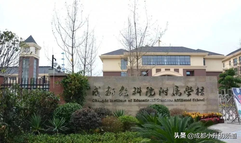 教科院有几个学校,教科院排名第几