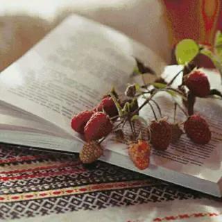 北京是一座怎么样城市,北京是一座怎么样的城市