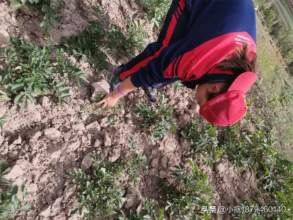 李锋教育视频全集,李锋教育跨年视频