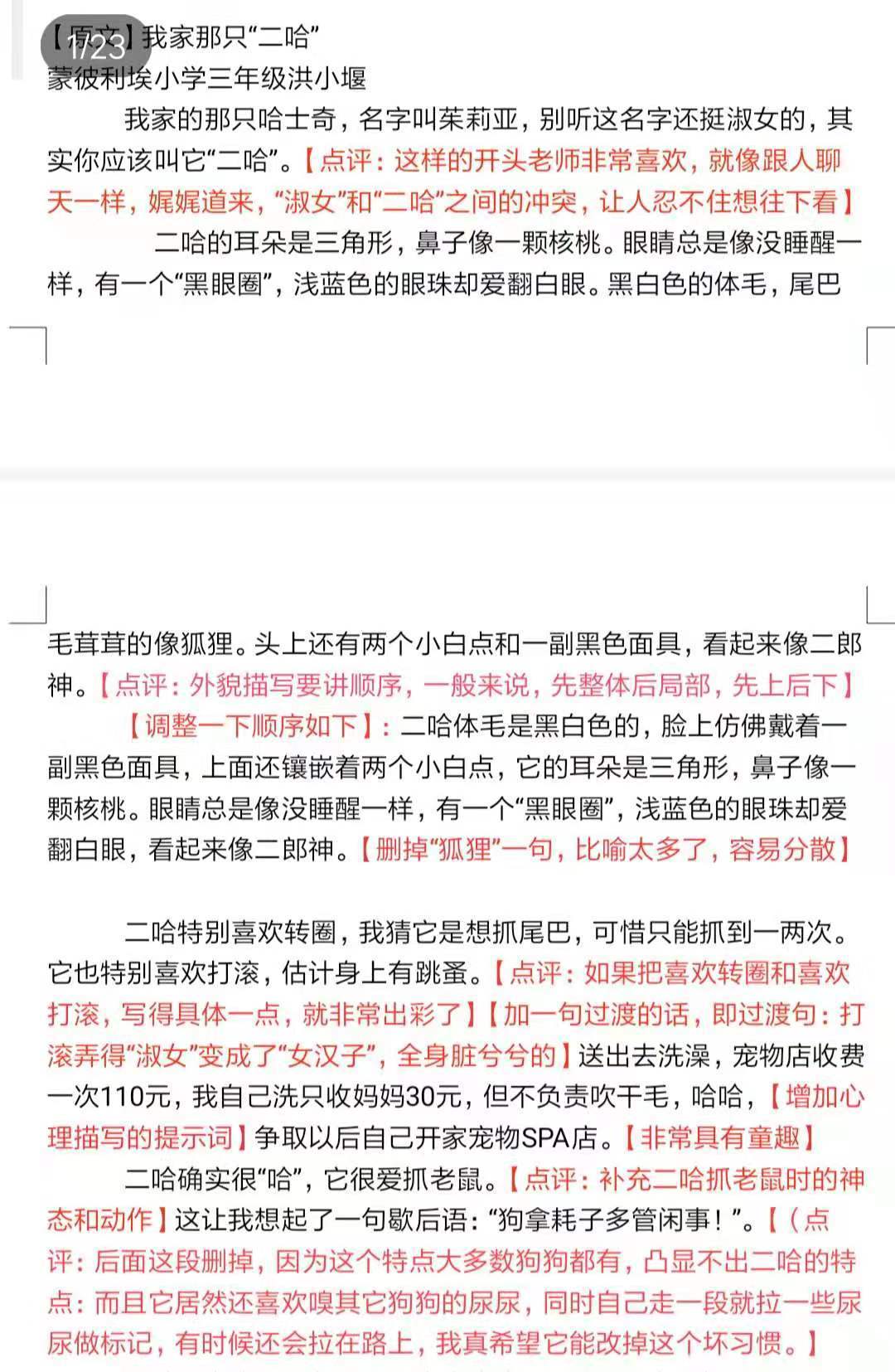 小记者课堂丨“中国动物小说大王”沈石溪：大胆模仿、大胆借鉴