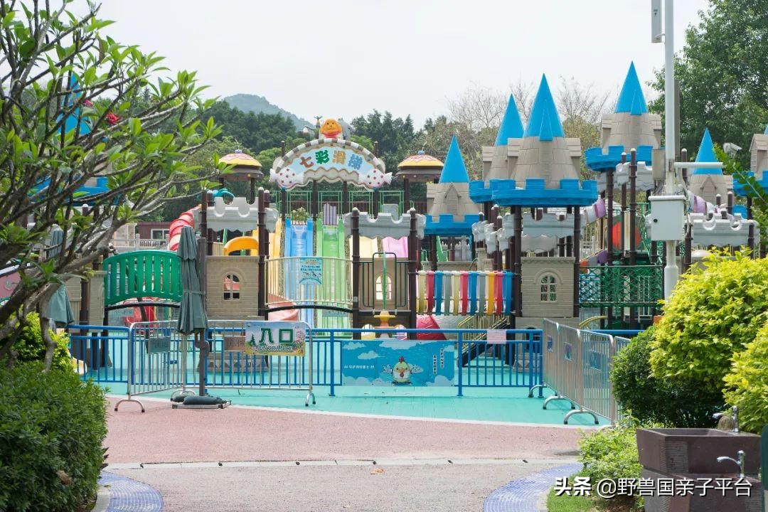 广州遛娃旅游推荐路线攻略,广州遛娃清单升级版