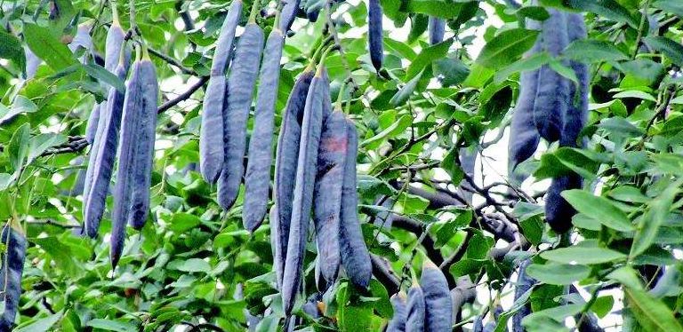 面对脱发如何调整心态,当代脱发的自救方法