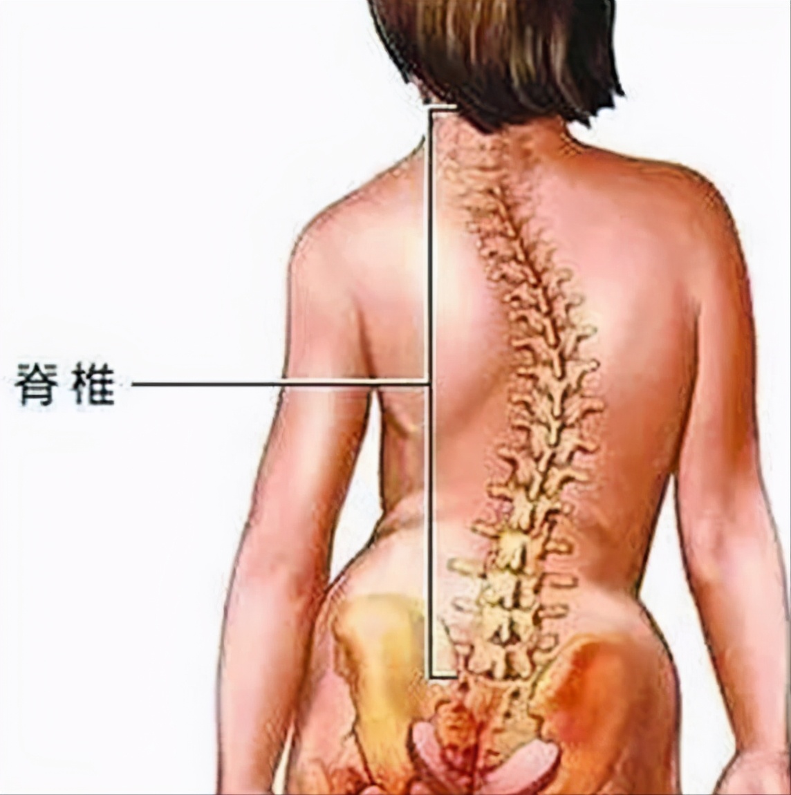 儿童左右腿骨骼发育不一致,2岁男童走路好像腿软总是摔倒