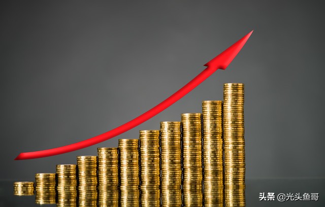 石金钱龟为啥突然不值钱,石金钱龟是哪年崩盘的