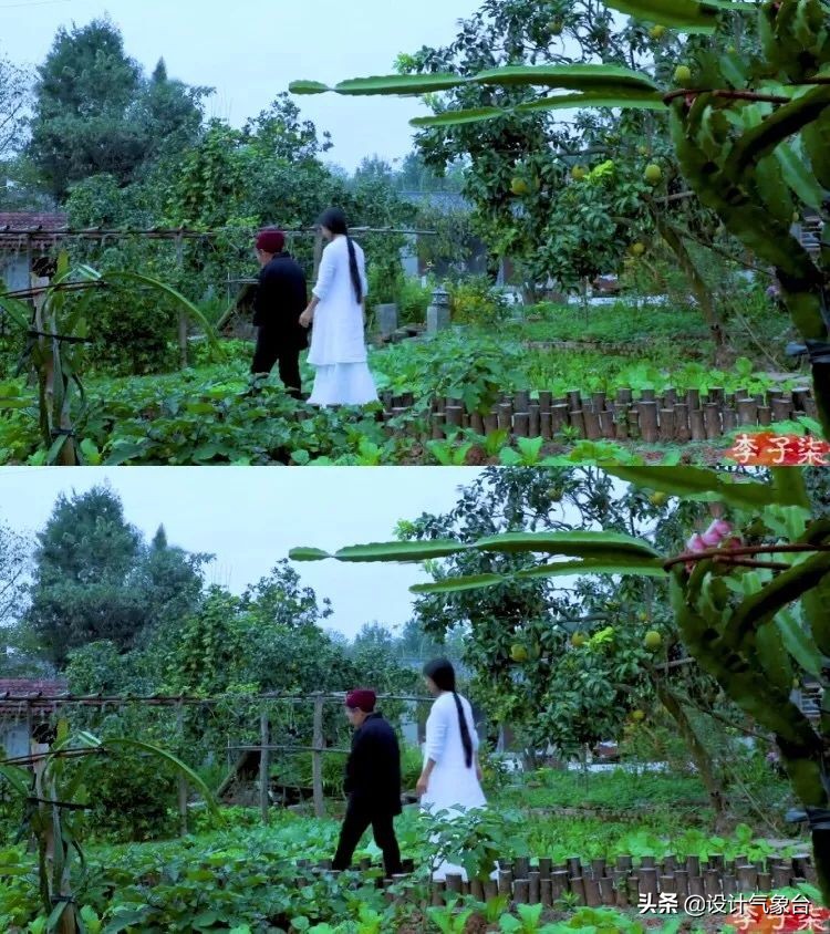 李子柒生活大揭秘,多少人羡慕李子柒的生活