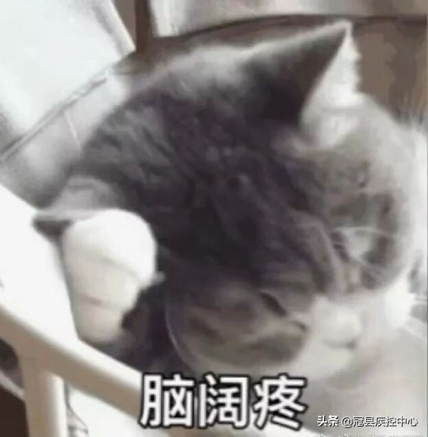 食用油花生油和大豆油哪个更健康,食用油花生油大豆油哪个好