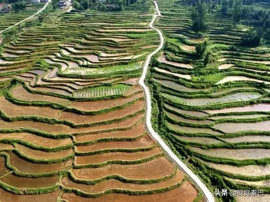 今天,我要夸夸我的通江县