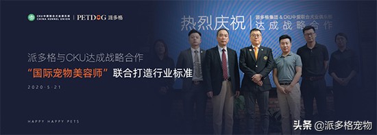 加盟派多格有人后悔吗,加盟派多格的真实经历