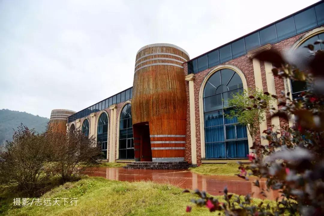 悠然三明：梅列瑞云山为佛，葡萄美酒配熏鸭