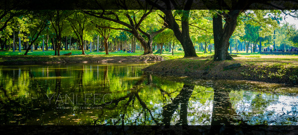 泰旅局发布2019年泰国旅游新玩法,曼谷漫游攻略