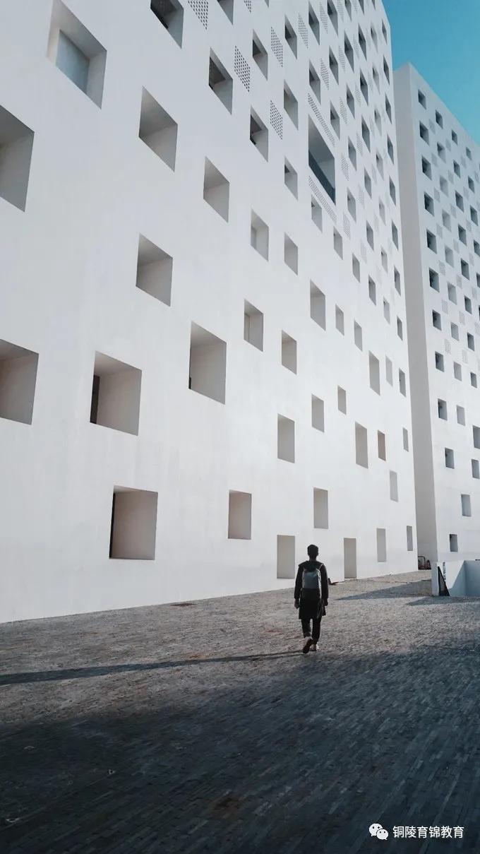 “阳光使者”——国际本科深圳大学招生简章