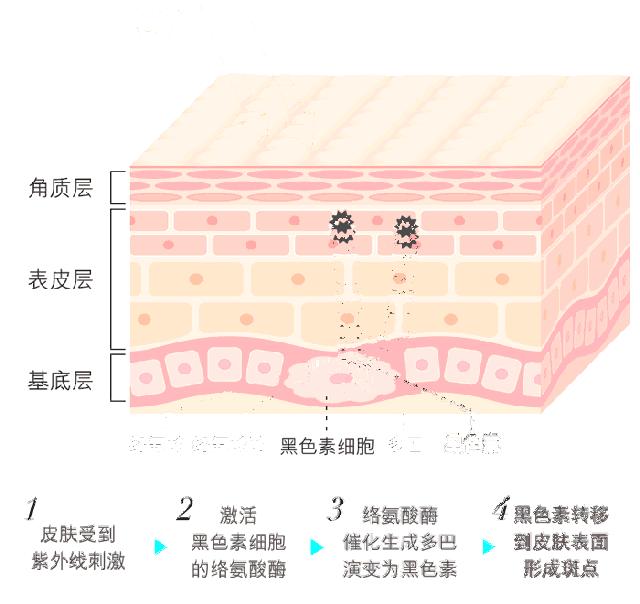 这些护肤的传言你信了吗,被护肤误区坑惨的你快醒醒