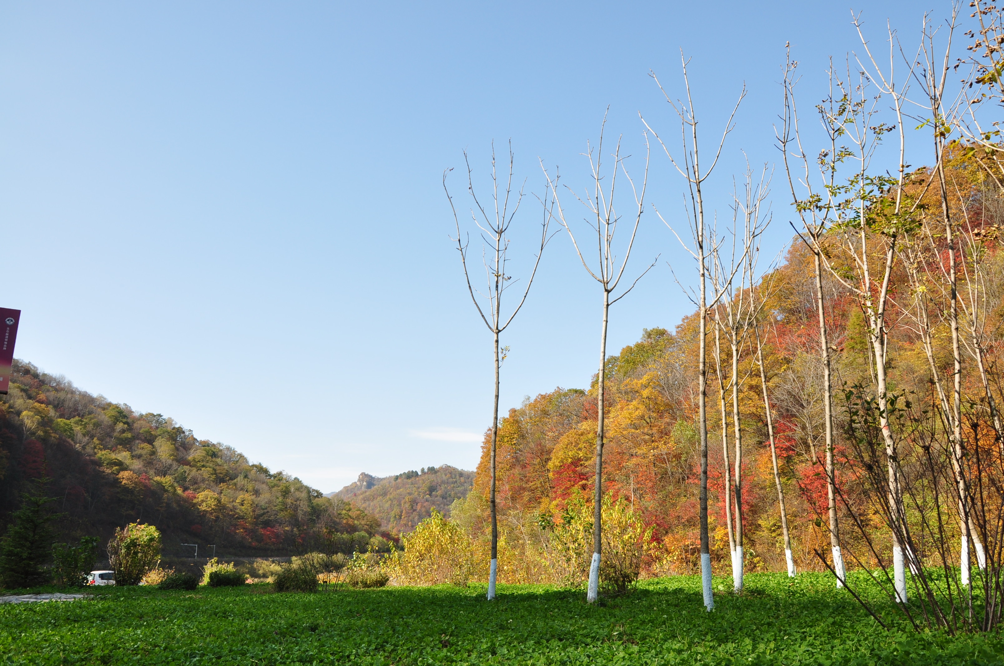 自驾西北行游记,我的西北边境自驾旅行日记
