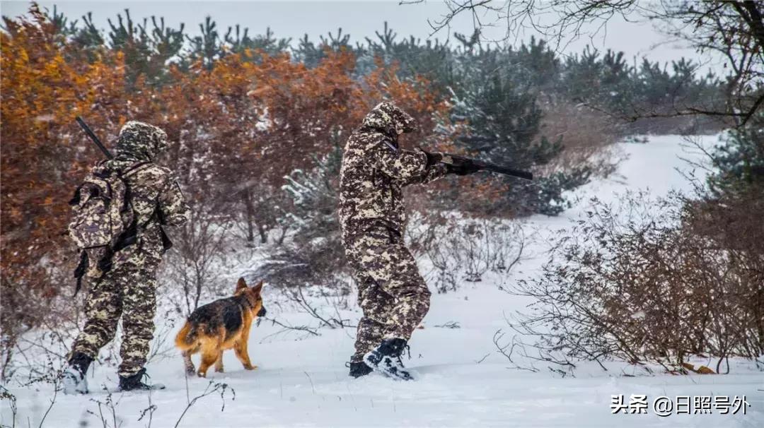 好嗨哟2019年元宵晚会,好嗨哟元宵晚会