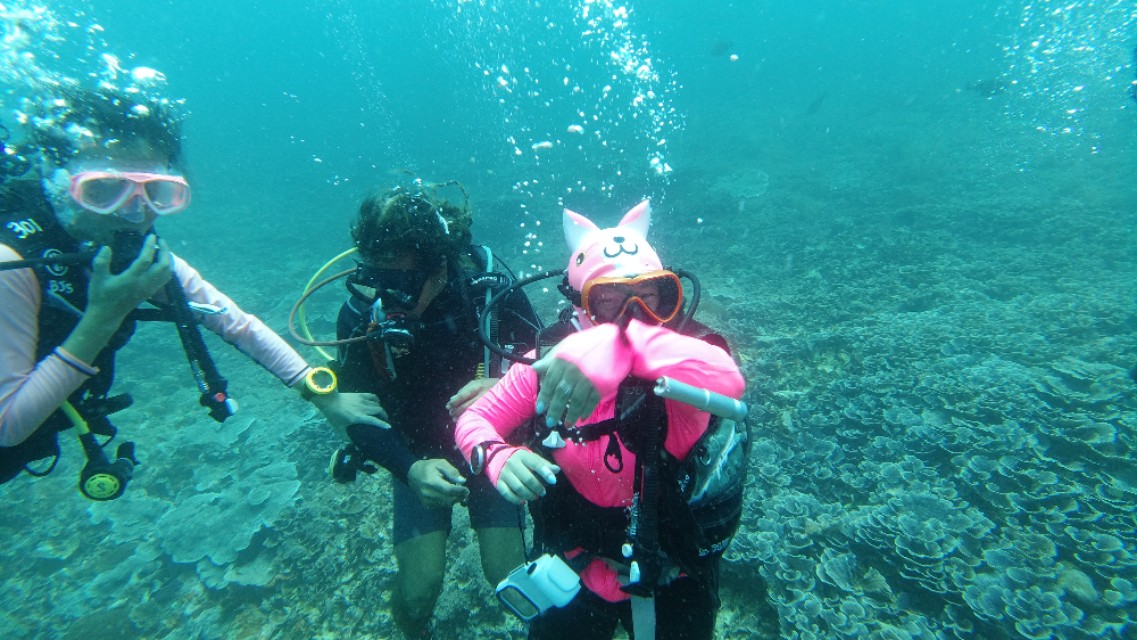 斯米兰船宿两天一夜不潜水,斯米兰住宿攻略